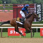 Phileas Fogg, horse, Astern (AUS), Suburban Stakes, sábado, 4 de julio de 2026, Saratoga. Foto: Coglianese Photo & Susie Raisher