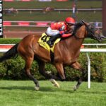 Twenty Six Black, horse, War Dancer, Harvey Pack Stakes, domingo, 5 de julio de 2026, Saratoga. Foto: Coglaniese Photo & Susie Raisher