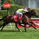 Zulu Kingdom, horse, Ten Sovereigns, Kelso Stakes, sábado, 6 de julio de 2026, Saratoga. Foto: Coglianese Photo & Susie Raisher
