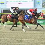 Ekati King, horse, Girvin, Clásico Guardia Nacional, domingo, 2 de agosto de 2026, La Rinconada. Foto: José Antonio Aray