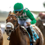 He´s A Knockout, horse, Smiling Tiger, Bing Crosby Stakes, viernes, 31 de julio de 2026, Del Mar. Foto: Benoit Photo