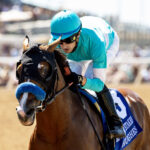 Hughes, horse, Into Mischief, Best Pal Stakes, sábado, 8 de agosto de 2026, Del Mar. Foto: Benoit Photo