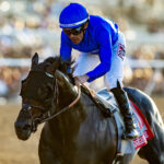Knighstbridge, horse, Godolphin, Pacific Classic, sábado, 22 de agosto de 2026, Del Mar. Foto: Benoit Photo