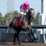 Luster, horses, Gainesway Stable, King´s Plate Stakes, sábado, 15 de agosto de 2026, Woodbine. Michael Burns Photography & Woodbine