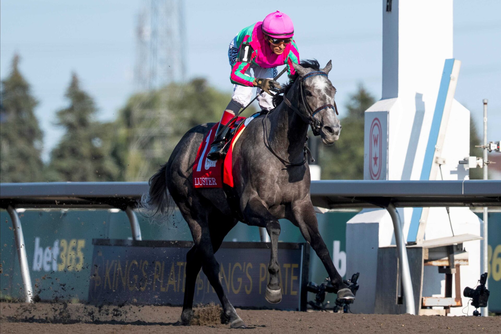 Luster, horses, Gainesway Stable, King´s Plate Stakes, sábado, 15 de agosto de 2026, Woodbine. Michael Burns Photography & Woodbine