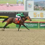 Perfect La Combee, horse, Bee Jersey, Clásico Sprinters, domingo, 30 de agosto de 2026, La Rinconada. Foto: José Antonio Aray