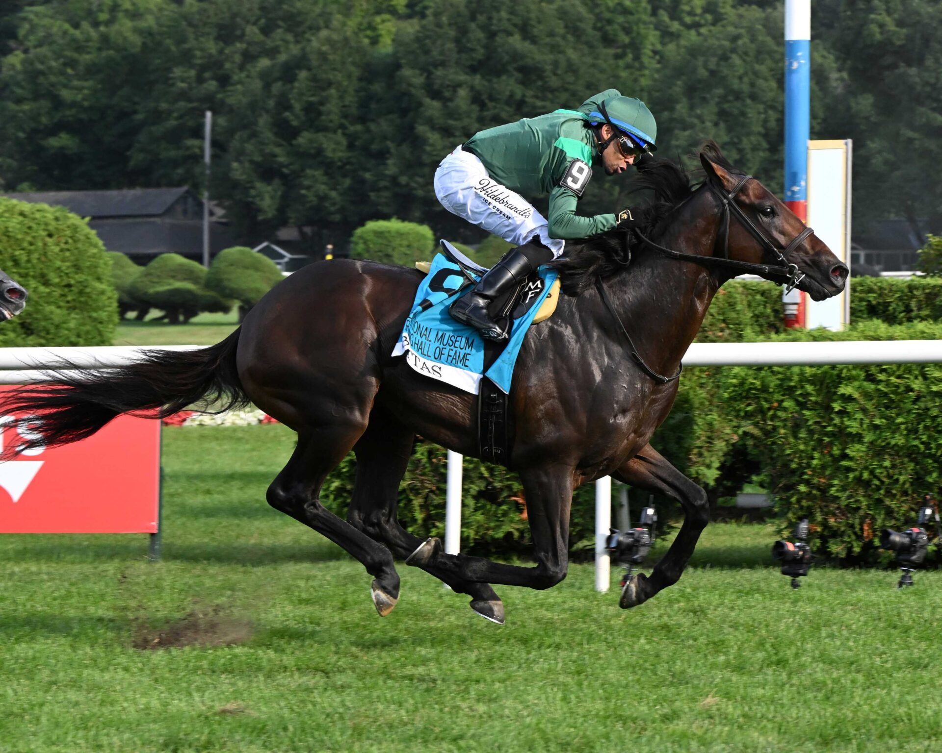 Bottas, horse, Vekoma, National Museum Of Racing Hall of Fame Stakes, viernes, 7 de agosto de 2026, Saratoga. Foto: Coglaniese Photo & Susie Raisher