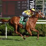 Cadenza, horse, Charlatán, Galway Stakes, sábado, 15 de agosto de 2026, Saratoga. Foto: Coglaniese Photo & Susie Raisher