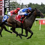 Chummers, horse, Combatant, NYSS Cab Calloway, jueves, 20 de Agosto de 2026, Saratoga. Foto: Coglaniese Photo & Susie Raisher