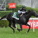 Deterministic, horse, Hinkle Farms, Fourstardave Handicap, sábado, 2 de agosto de 2025, Saratoga. Foto: Coglaniese Photo & Susie Raisher