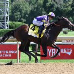 Englishman, horses, Maxfield, H. Allen Jerkens Memorial Stakes, sábado, 29 de agosto de 2026, Saratoga. Foto: Coglianese Photo & Susie Raisher