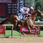 Fully Subscribed, horse, Klaravich Stables, Personal Ensign Stakes, sábado, 29 de agosto de 2026, Saratoga. Foto: Coglaniese Photo & Susie Raisher