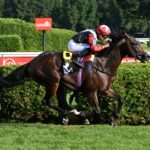 Glacius, horse, Too Darn Hot (GB), Saratoga Derby, sábado, 8 de agosto de 2026, Saratoga. Foto: Coglaniese Photo & Susie Raisher