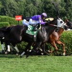 John The Beer Man, horse, More Than Ready, Troy Stakes, domingo, 6 de agosto de 2026, Saratoga. Foto: Coglaniese Photo & Susie Raisher