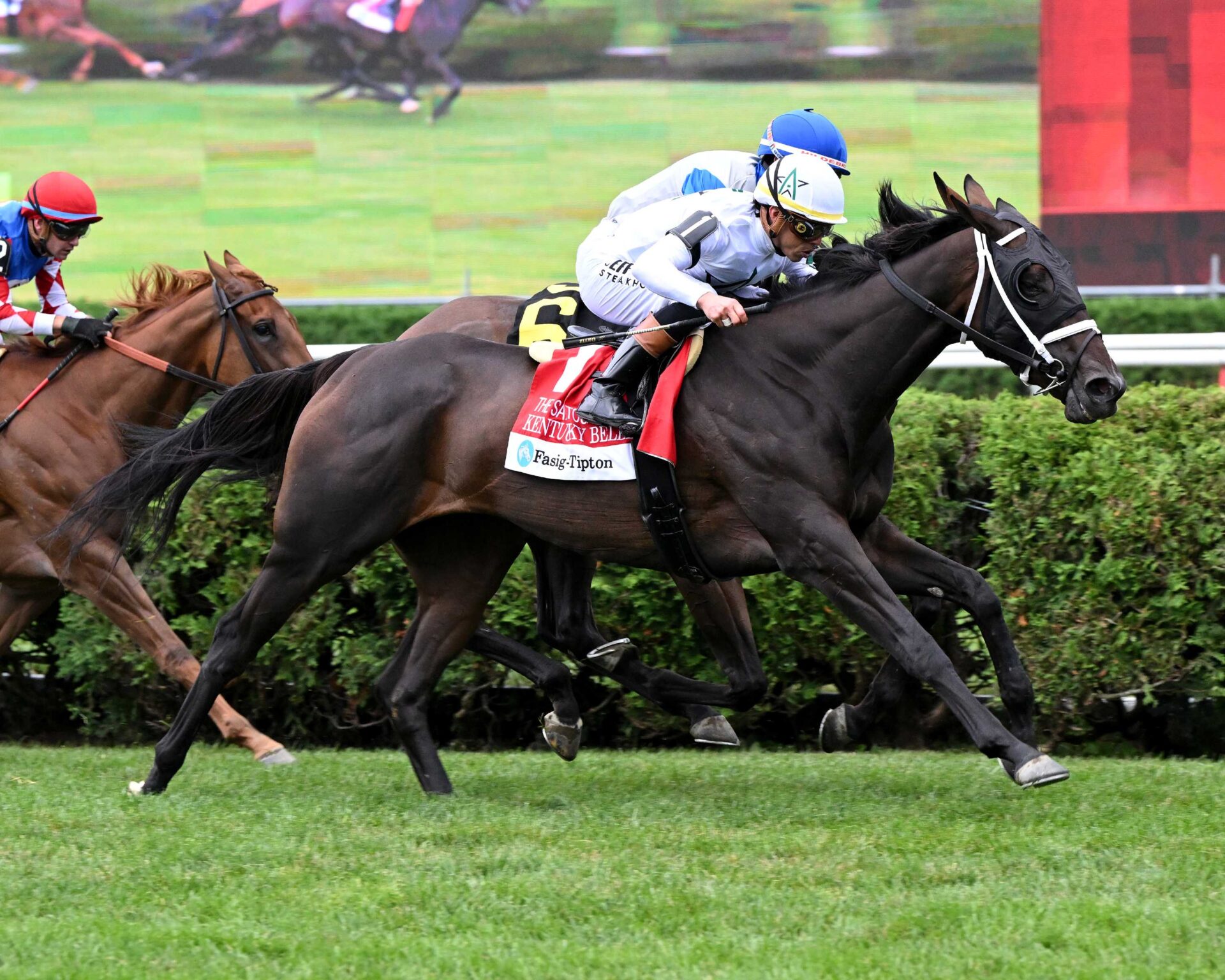 Kentucky Belle, horse, Justify, Saratoga Oaks, viernes, 7 de agosto de 2026, Saratoga. Foto: Coglaniese Photo
