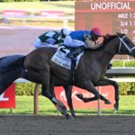 Leading Change, horse, Gun Runner, Travers Stakes, sábado, 29 de agosto de 2026, Saratoga. Foto: Coglaniese Photo & Susie Raisher