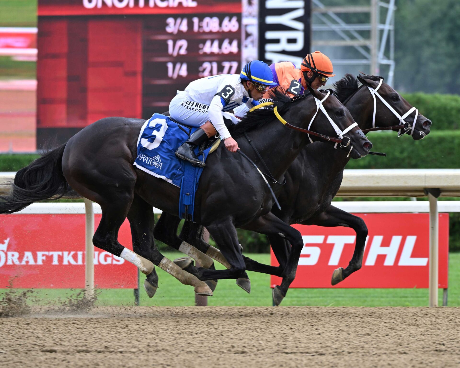 Local Knowledge, horse, Spendthrift Farm, Amsterdam Stakes, viernes, 31 de julio de 2026, Saratoga. Foto: Coglaniese Photo & Susie Raisher