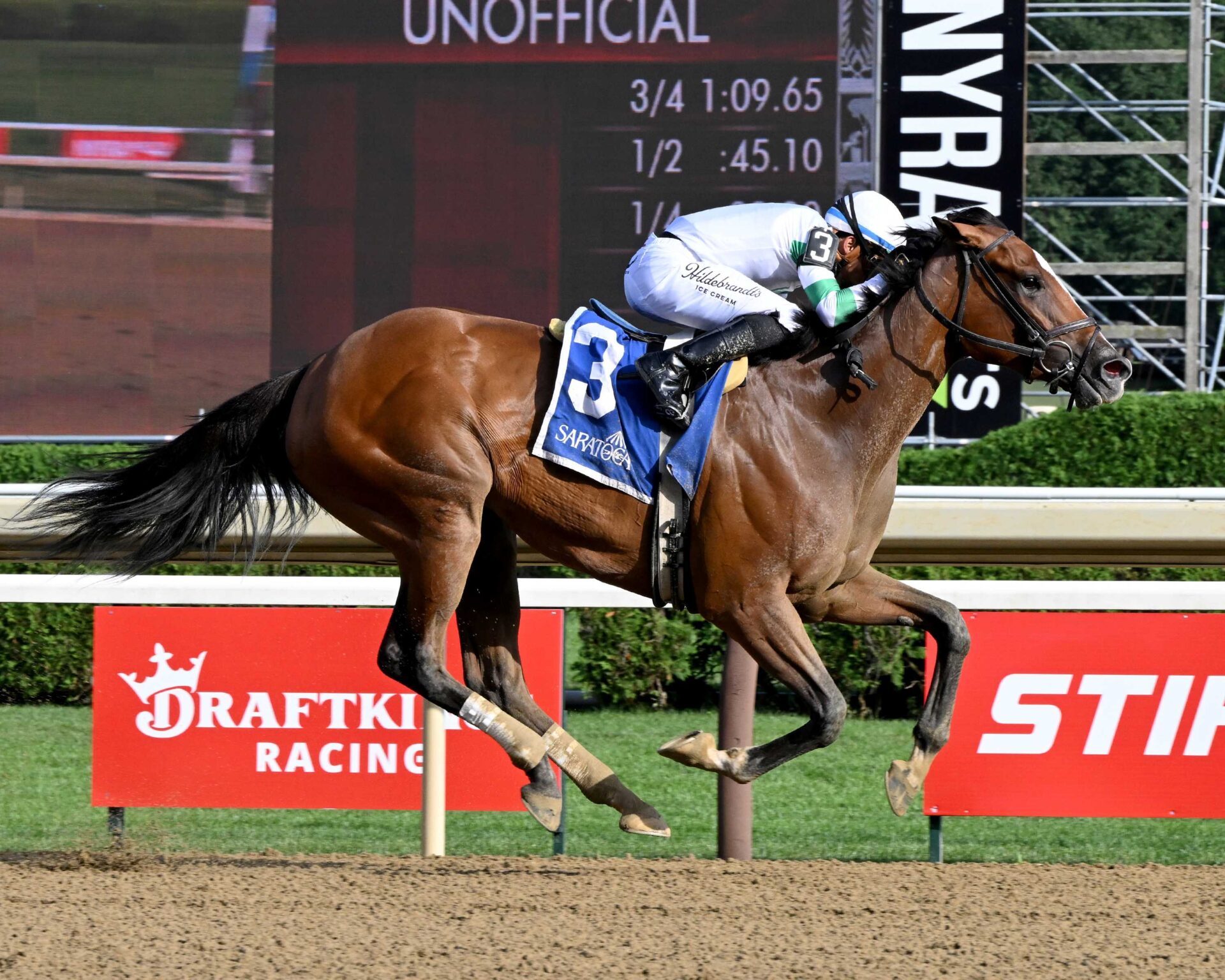 Munnings Express, horse, Munnings, Johnstone Stakes, miércoles, 5 de agosto de 2026, Saratoga. Foto: Coglaniese Photo