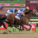 Renegade, horse, Into Mischief, Jim Dandy Stakes, sábado, 1 de agosto de 2025, Saratoga. Foto: Coglaniese Photo & Susie Raisher