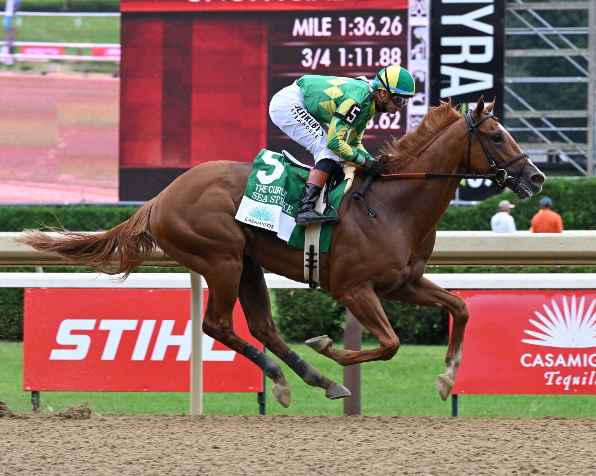 Sea Strike, horses, Mendelssohn, Curlin Stakes, domingo, 2 de agosto de 2026, Saratoga. Foto: Coglaniese Photo & Susie Raisher