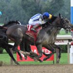 Stars And Stripes, horses, Frassetto Stables, Birdstone Stakes, jueves, 13 de agosto de 2026, Saratoga. Foto: Coglianese Photo & Susie Raisher