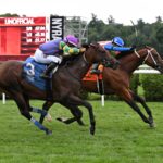 Stradale, horse, Yaupon, Mahony Stakes, domingo, 16 de agosto de 2026, Saratoga. Foto: Coglaniese Photo & Susie Raisher