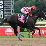 Stress Relief, horse, Not This Time, Adirondack Stakes, domingo, 2 de agosto de 2026, Saratoga. Foto: Coglaniese Photo & Susie Raisher
