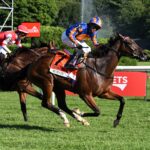 Survie, horse, Churchill, Christopher Clement Stakes, sábado, 15 de agosto de 2026, Saratoga. Foto: Coglaniese Photo & Susie Raisher