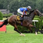 Survie, horse, Churchill, Glen Falls Stakes, domingo, 2 de agosto de 2026, Saratoga. Foto: Coglaniese Photo & Susie Raisher