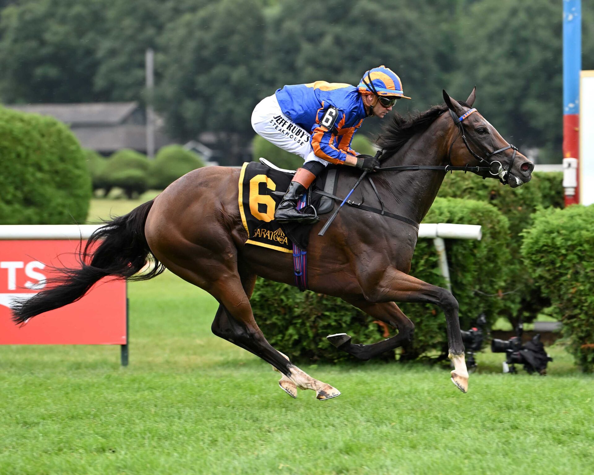 Survie, horse, Churchill, Glen Falls Stakes, domingo, 2 de agosto de 2026, Saratoga. Foto: Coglaniese Photo & Susie Raisher