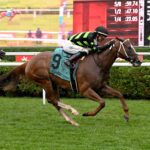 Zeitlos, horse, Stonestreet Thoroughbred Holdings, Smart N Fancy Stakes, viernes, 14 de agosto de 2026, Saratoga. Foto: Coglaniese Photo & Chelsea Durand