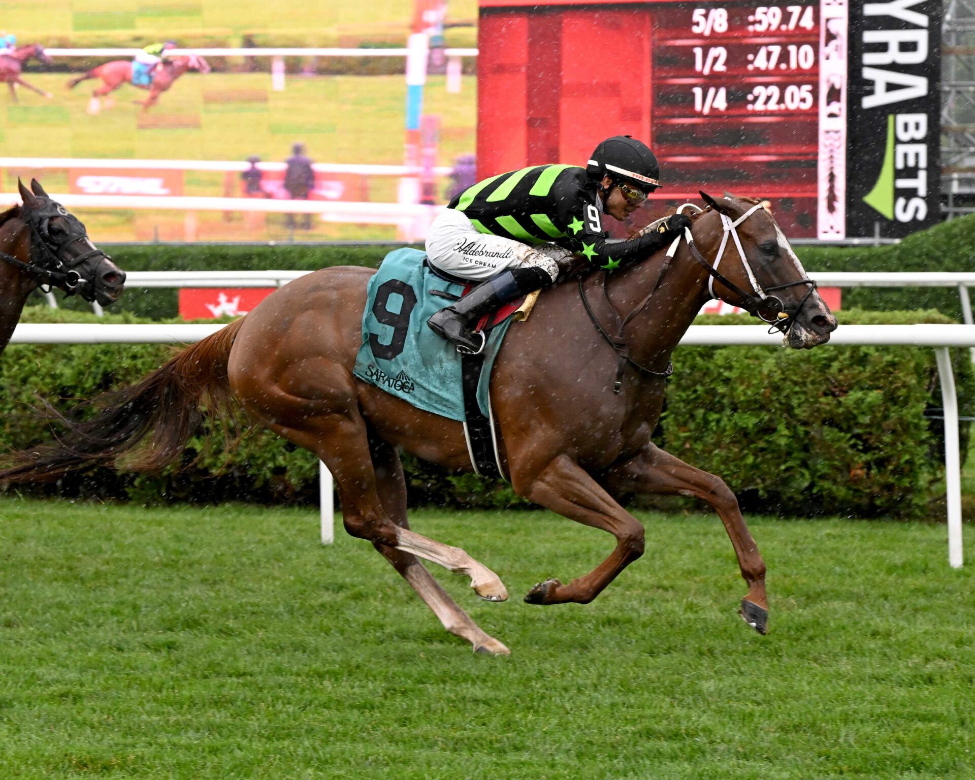 Zeitlos, horse, Stonestreet Thoroughbred Holdings, Smart N Fancy Stakes, viernes, 14 de agosto de 2026, Saratoga. Foto: Coglaniese Photo & Chelsea Durand