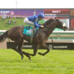 Al Hudaiba, horses, Dark Angel, Summer Stakes Stakes, sábado, 12 de septiembre de 2026, Woodbine. Michael Burns Photography & Woodbine
