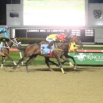 Astuto, horse, Champlain, Clásico Copa Invitacional Del Caribe, domingo, 6 de septiembre de 2026, La Rinconada. Foto: José Antonio Aray