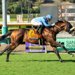 Atitlán, Horses, The Factor, John Henry Turf Championship Stakes, sábado, 26 de septiembre de 2026, Santa Anita Park. Foto: Benoit Photo