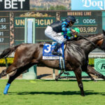Cabo Spirit, Horses, Pioneerof The Nile, City of Hope Mile Stakes, sábado, 26 de septiembre de 2026, Santa Anita Park. Foto: Benoit Photo