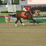 Ekati King, horse, Copa Belleza Venezolana, domingo, 13 de septiembre de 2026, La Rinconada. Foto: José Antonio Aray