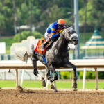 Forged Steel, horse, Vekoma, Goodwood Stakes, sábado, 26 de septiembre de 2026, Santa Anita Park. Foto: Benoit Photo