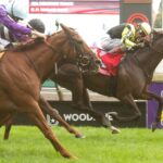 Gimme A Nother, horses, Gimmethegreenlight, E. P. Taylor Stakes, sábado, 12 de septiembre de 2026, Woodbine. Michael Burns Photography & Woodbine