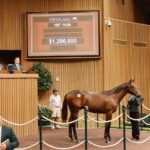 Potro, 1686, Nyquist en Alexandria por Constitution, sesión 6, Keeneland Sales, domingo, 20 de septiembre de 2026, Keeneland. Foto: Keeneland