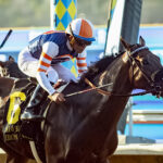 Iron Man Cal, Horses, Collected, Pat O´Brien Stakes, sábado, 29 de agosto de 2026, Del Mar. Foto: Benoit Photo
