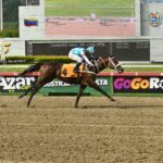 Klimanjaro, horse, Roger Rocket, Clásico Victoreado, domingo, 20 de septiembre de 2026, La Rinconada. Foto: José Antonio Aray