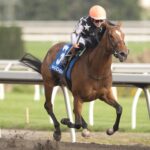 Lupa, horses, Lope De Vega, Matron Stakes, sábado, 12 de septiembre de 2026, Woodbine. Michael Burns Photography & Woodbine
