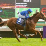 Notable Speech, horse, Dubawi (IRE), Rogers Woodbine Mile Stakes, sábado, 12 de septiembre de 20256 Woodbine. Michael Burns Photography & Woodbine