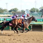 Salahudin, horse, Uncle Mo, Iroquois Stakes, sábado, 12 de septiembre de 2026, Churchill Downs. Foto: Coady Media