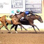 Silent Tactic, horse, Don Alberto Corporation, Oklahoma Derby, domingo, 27 de septiembre de 2026, Remington Park. Foto: Coady Media