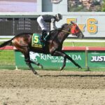 Tuscan Gold, horse, Stonestreet Thoroughbred Holdings, Clásico Propietarios de La Rinconada, domingo, 6 de septiembre de 2026, La Rinconada. Foto: José Antonio Aray