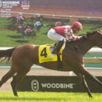 Voyager, horses, Justify, Natalma Stakes G1, sábado, 12 de septiembre de 2026, Woodbine. Michael Burns Photography & Woodbine