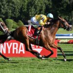Evershed (IRE), horse, Churchill, West Point Stakes, viernes, 28 de agosto de 2026, Saratoga. Foto: Coglaniese Photo