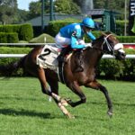Go For Launch, horse, Flightline, Bolton Landing Stakes, miércoles, 26 de agosto de 2026, Saratoga. Foto: Coglaniese Photo & Susie Raisher